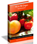 Ebook Fit in 90 Dagen Receptenboek - Inge van Haselen